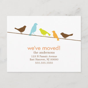 Colourful Birds On a Wire New Address Announcement Postcard