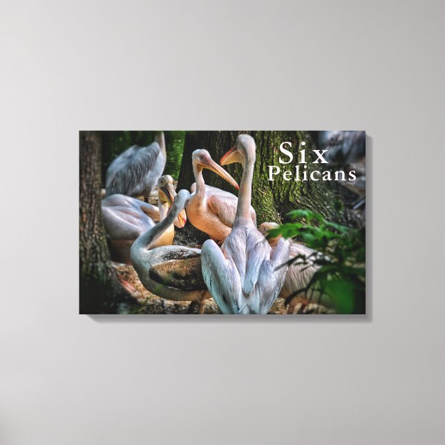 Colourful Birds Six Pelicans Under A Tree Canvas Print (Front)