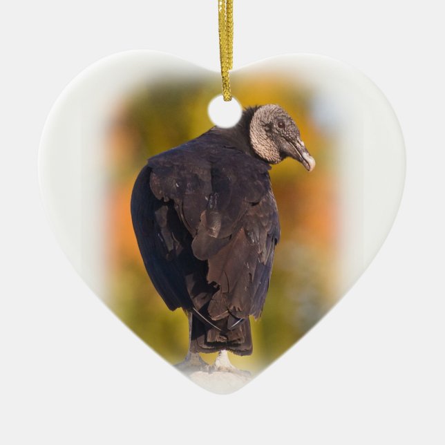 Colourful Black Vulture Ceramic Ornament (Front)