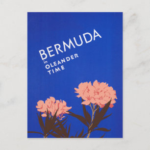 Colourful Blue Bermuda in Oleander Time Travel Postcard