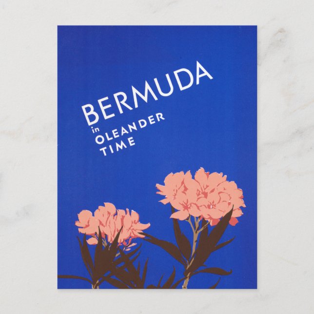 Colourful Blue Bermuda in Oleander Time Travel Postcard (Front)