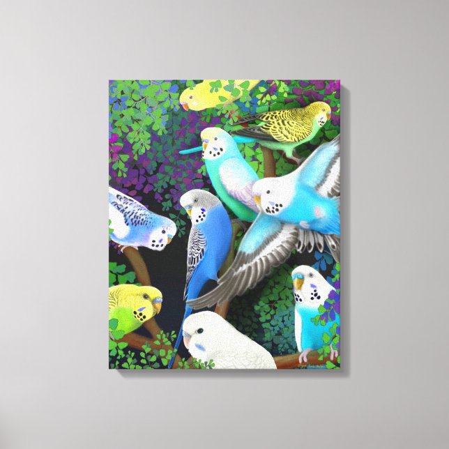 Colourful Budgerigar Parakeets Wrapped Canvas (Front)