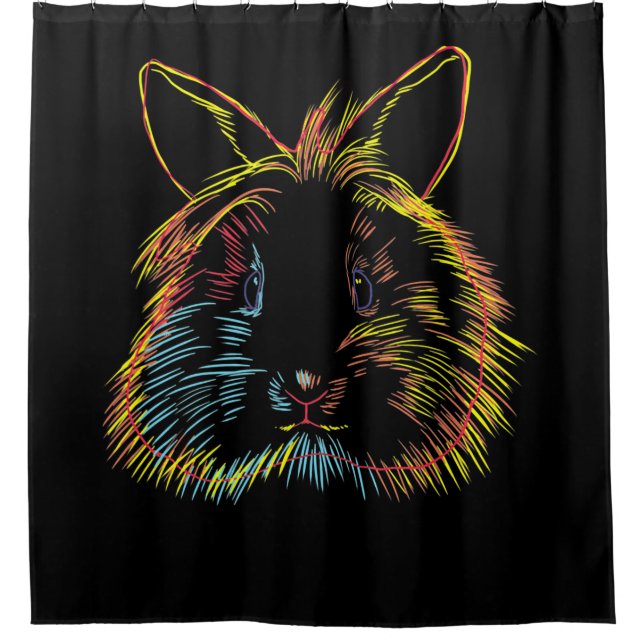Colourful Bunny Lionhead Rabbit (Front)