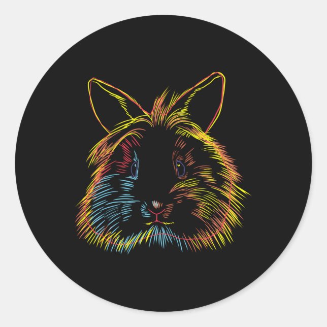 Colourful Bunny Lionhead Rabbit Classic Round Sticker (Front)
