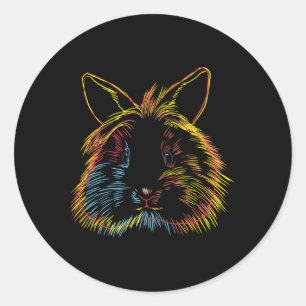 Colourful Bunny Lionhead Rabbit Classic Round Sticker