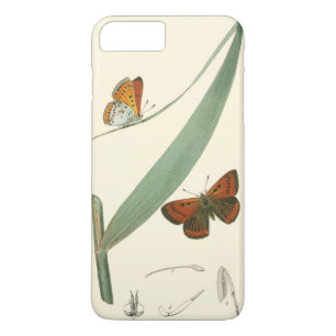 Colourful Butterflies Fluttering Around a Leaf Case-Mate iPhone Case