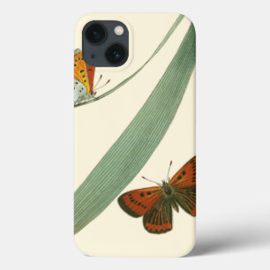 Colourful Butterflies Fluttering Around a Leaf iPhone 13 Case