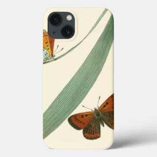 Colourful Butterflies Fluttering Around a Leaf iPhone 13 Case