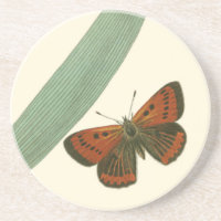 Colourful Butterflies Fluttering Around a Leaf