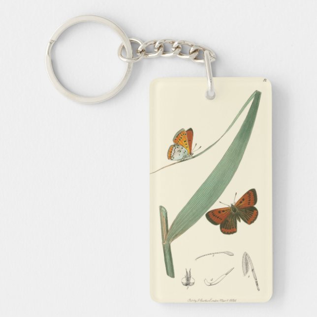 Colourful Butterflies Fluttering Around a Leaf Keychain (Front)