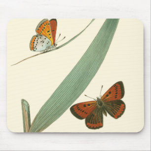 Colourful Butterflies Fluttering Around a Leaf Mouse Pad