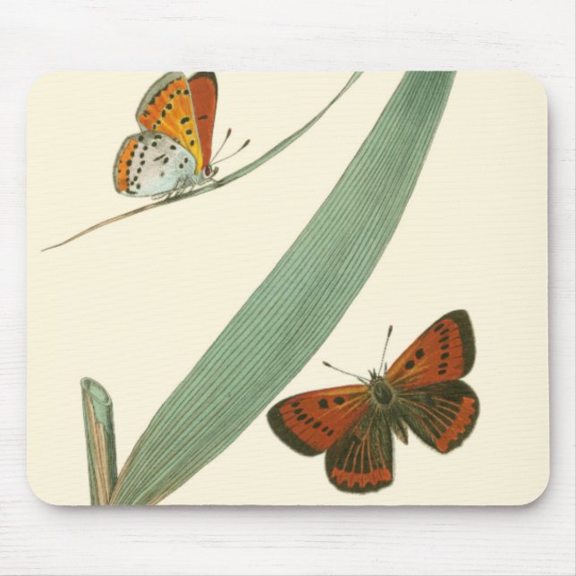 Colourful Butterflies Fluttering Around a Leaf Mouse Pad (Front)