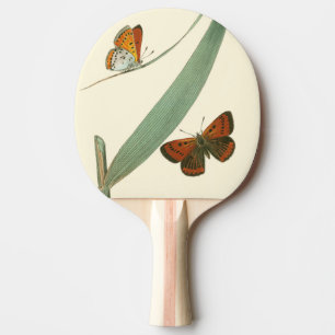 Colourful Butterflies Fluttering Around a Leaf Ping Pong Paddle