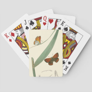 Colourful Butterflies Fluttering Around a Leaf Playing Cards