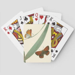 Colourful Butterflies Fluttering Around a Leaf Playing Cards