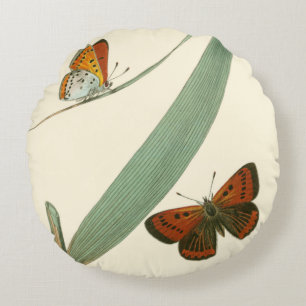 Colourful Butterflies Fluttering Around a Leaf Round Pillow