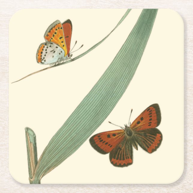 Colourful Butterflies Fluttering Around a Leaf Square Paper Coaster (Front)