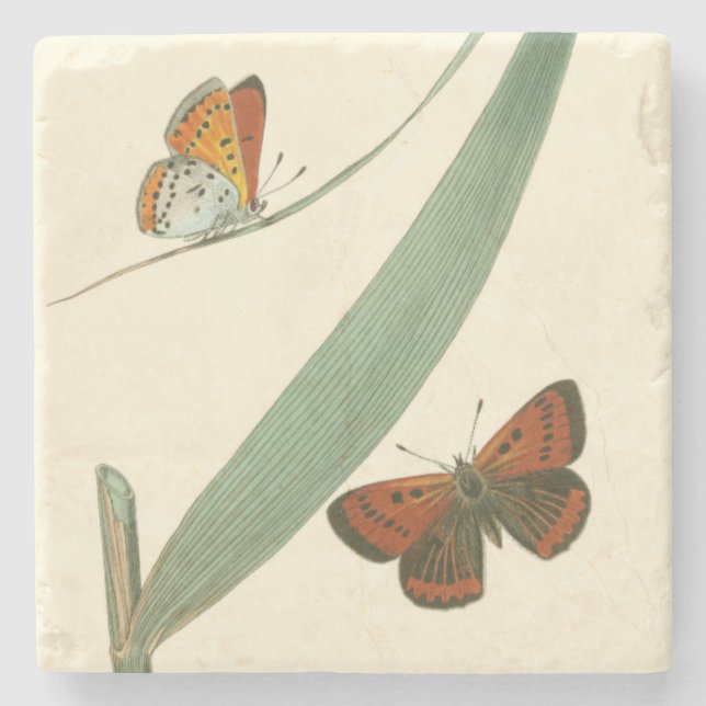 Colourful Butterflies Fluttering Around a Leaf Stone Coaster (Front)
