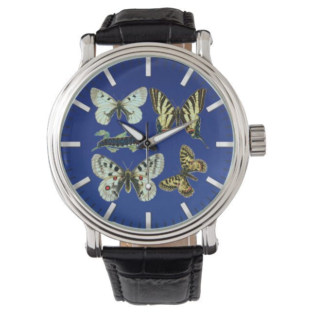 Colourful Butterflies, Moths and Caterpillars Watch (Front)