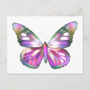 Colourful Butterflies Postcard
