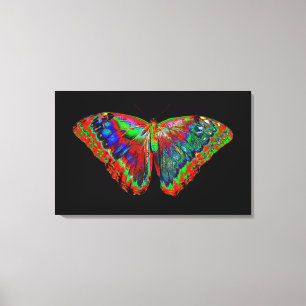 Colourful Butterfly design against black backdrop Canvas Print