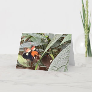 Colourful Butterfly Greeting Card