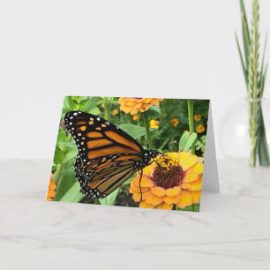 Colourful Butterfly Greeting  Card