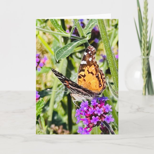 Colourful Butterfly Greeting  Card (Front)