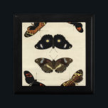 Colourful Butterfly Medley on Cream Background Gift Box<br><div class="desc">A vividly colourful butterfly medley set over a cream background. Each insect is drawn with exquisite detail,  capturing the beauty and essence of each unique creature. A great gift for the butterfly lover in your life!</div>