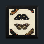 Colourful Butterfly Medley on Cream Background Gift Box<br><div class="desc">A vividly colourful butterfly medley set over a cream background. Each insect is drawn with exquisite detail,  capturing the beauty and essence of each unique creature. A great gift for the butterfly lover in your life!</div>