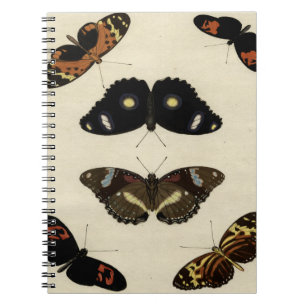 Colourful Butterfly Medley on Cream Background Notebook