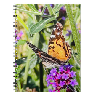 Colourful Butterfly  Notebook