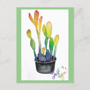 Colourful Cacti Postcard