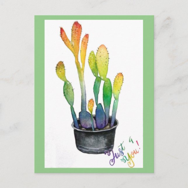 Colourful Cacti Postcard (Front)