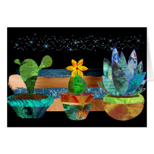 Colourful Cactus and Succulents