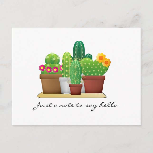 Colourful Cactus Garden / Hello Postcard (Front)