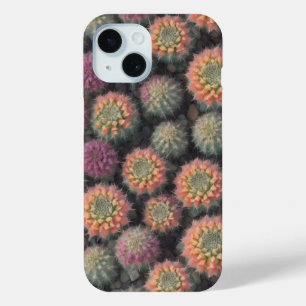 Colourful Cactus Phone Case