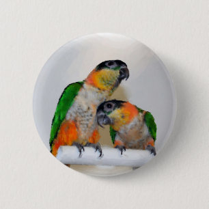 Colourful Caique Parrot Pair Button
