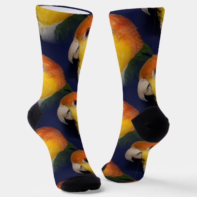 Colourful Caique Parrot Socks (Angled)