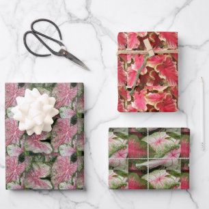 Colourful Caladium Leaves Floral Pattern Wrapping Paper Sheet