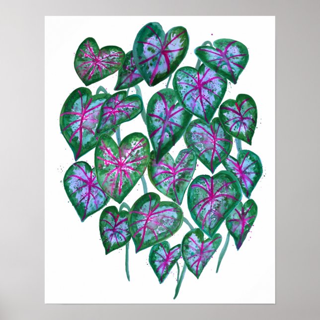 Colourful Caladiums Watercolor Art Pink Green Poster (Front)