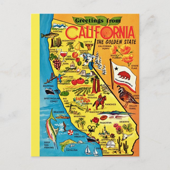  Colourful California State  Postcard (Front)