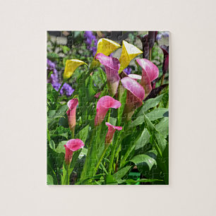 Colourful calla lily flowers jigsaw puzzle