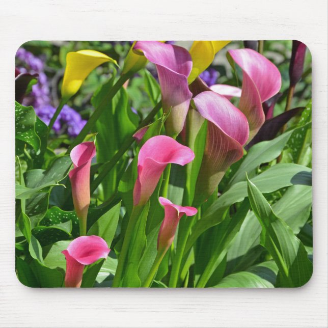 Colourful calla lily flowers mouse pad (Front)