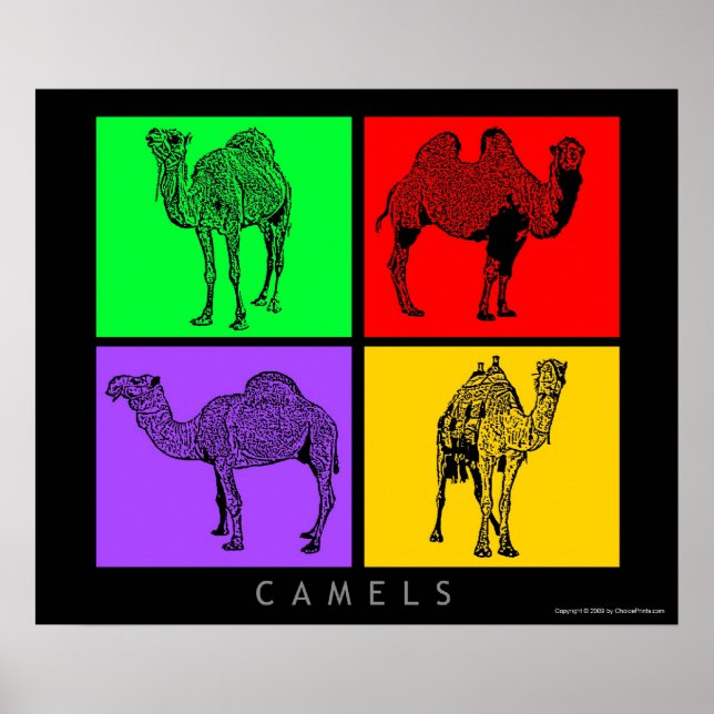 Colourful Camels Poster (Front)