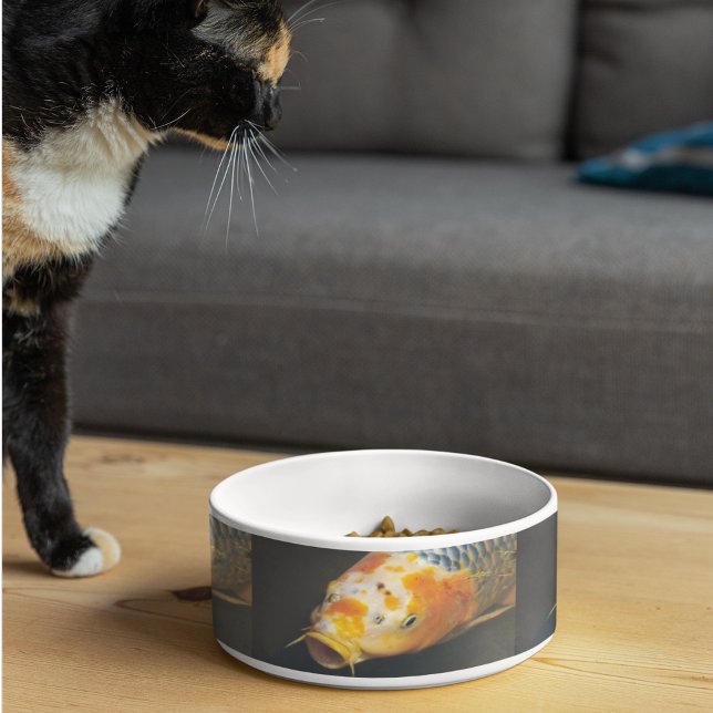 Colourful Carp Fish Photo Pattern Pet Bowl (In Situ)