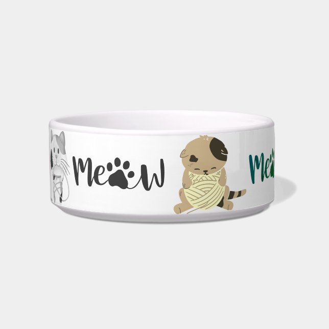 colourful cat bowl (Front)