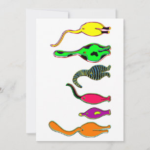 Colourful Cat Butts Holiday Card