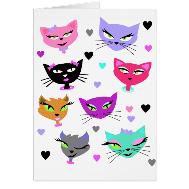 Colourful Cats (Front)