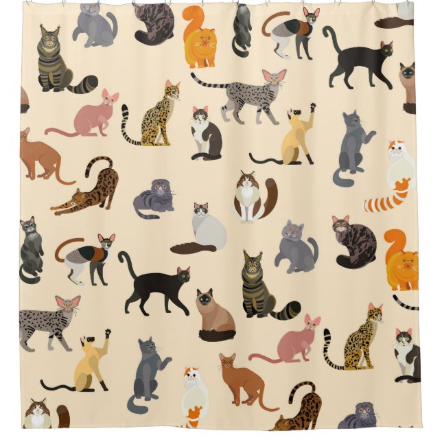 Colourful Cats: Different Breeds Pattern (Front)